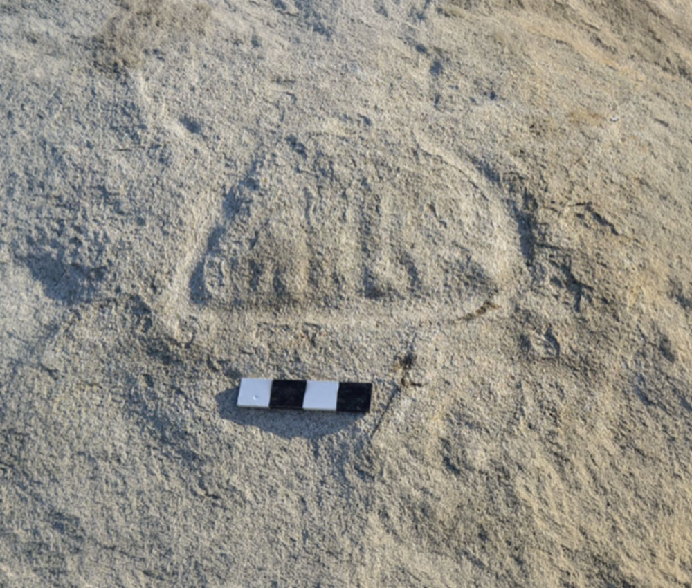 Un barco prehistórico grabado en una roca