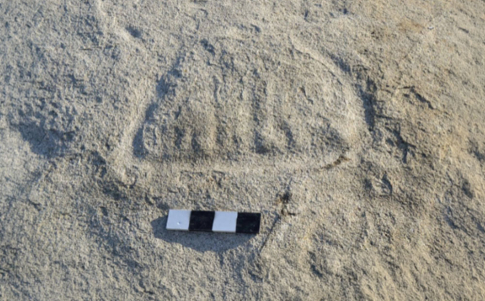 Un barco prehistórico grabado en una roca