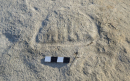 Un barco prehistórico grabado en una roca Un barco prehistórico grabado en una roca