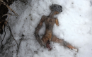 Este alien se muere cada vez que se vienen revelaciones