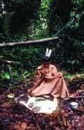 Ayahuasca, el poder de la soga Ayahuasca, el poder de la soga