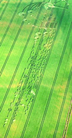 Profecías de los círculos de las cosechas