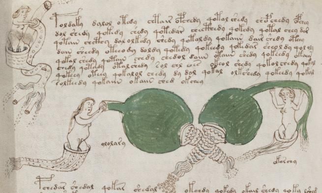 Sugieren una interpretación para el libro más misterioso del mundo Sugieren una interpretación para el libro más misterioso del mundo