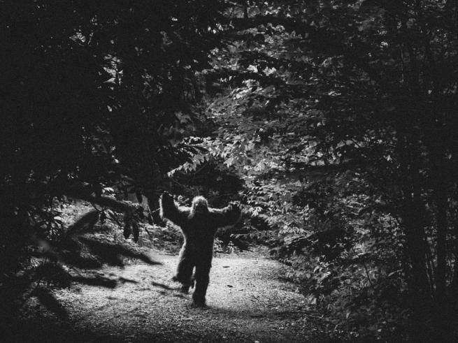 "Jischu", el cripto ser del cerro Autana: ¿mitad hombre mitad mono? "Jischu", el cripto ser del cerro Autana: ¿mitad hombre mitad mono?