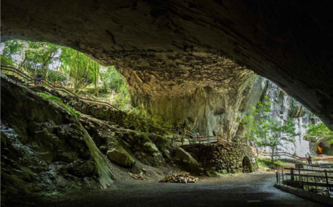 El camino de las brujas