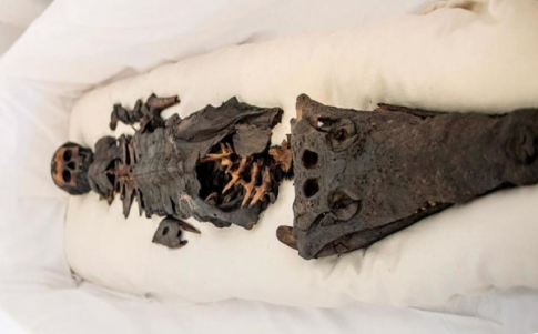 Exhiben al público una momia de dos cabezas: humana y cocodrilo