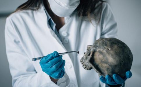 ¿La arqueología puesta en duda? La prueba del Carbono 14 podía estar equivocada