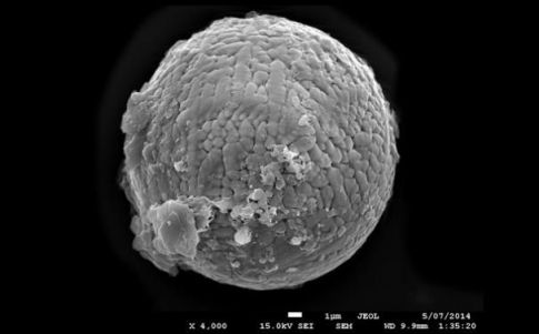 Imagen de los análisis a los micrometeoritos hallados en Australia