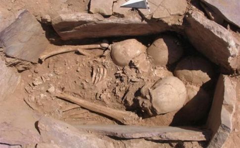 Los huesos estaban desmembrados y agrupados por categorías