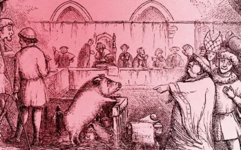 Los poderes mágicos de la excomunión... ¡contra animales!