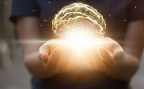 1.     El principio de mentalismo