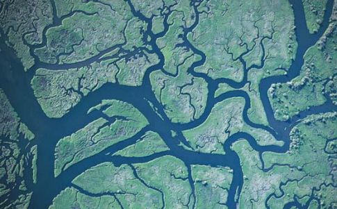 En la gran mayoría de los casos las acciones preventivas se enfocan únicamente hacia los usos humanos del agua, ignorando la protección de la biodiversidad 