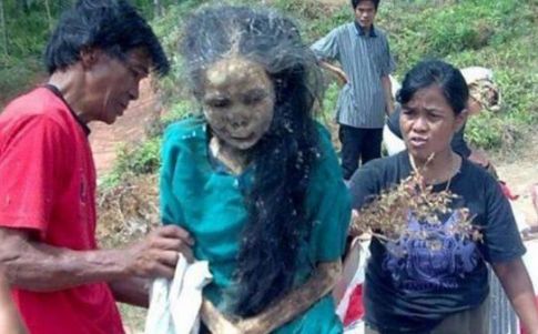 Los muertos parecen zoombies