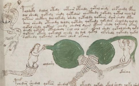 La edityorial Siloé realizará un facsímil del manuscrito Voynich