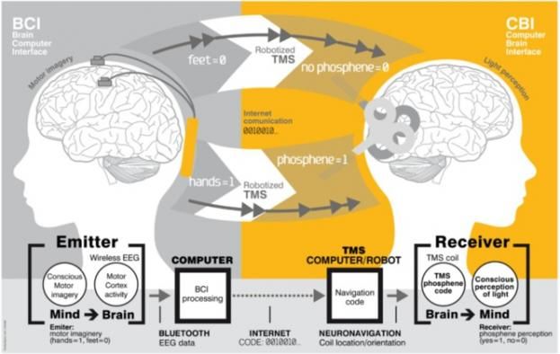 Interfaz cerebro a cerebro (BTBI) para la transferencia de información entre sujetos humanos. Créditos: Grau et al. (2014)