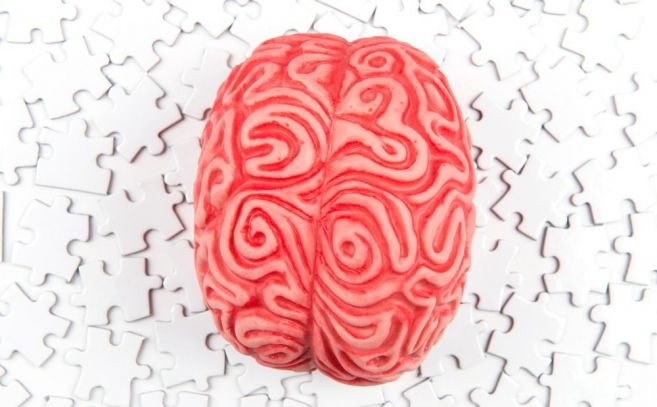 El cerebro es un gran desconocido