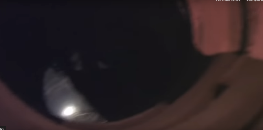 3 jóvenes iban a explorar cuando se toparon con este ser del subsuelo