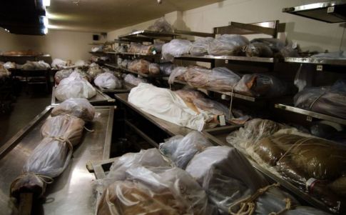 Hallan un "museo de los horrores" destinado al tráfico de órganos humanos