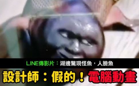 El pez con cara humana se demuestra falso