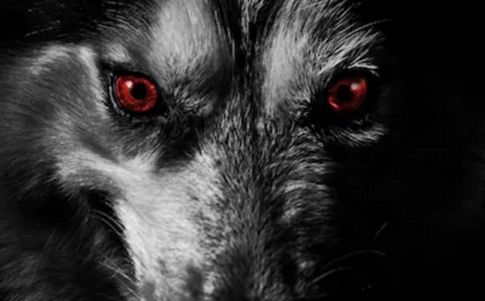 El perro que anuncia la muerte