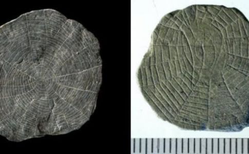 Tecnología de ¿otro mundo?