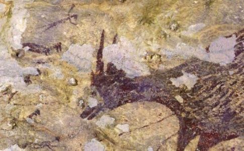 Pinturas rupestres en Indonesia que superan la ficción