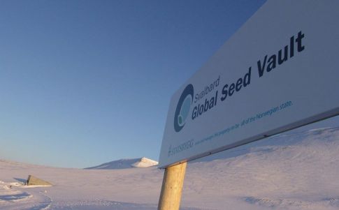 El arca del fin del mundo