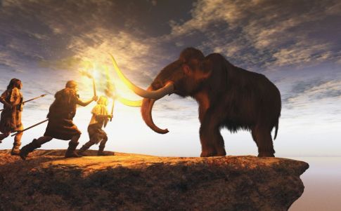 Los «últimos» mamuts vivieron más años pero más enfermos