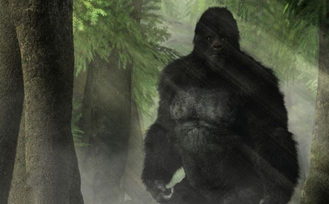 imagenes bigfoot paseando parque ohio facebook