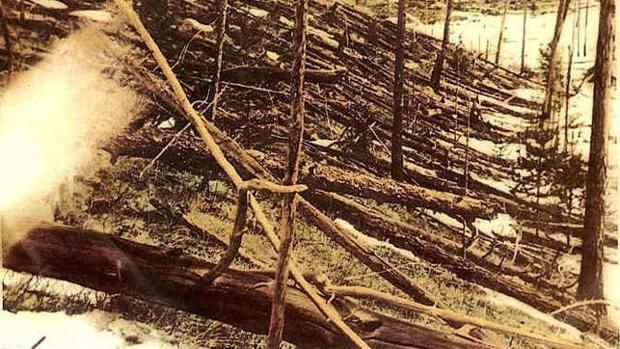 Tunguska arboles derribados