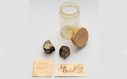 Los dos fragmentos de meteorito encontrados en la colección de la familia Salvador.