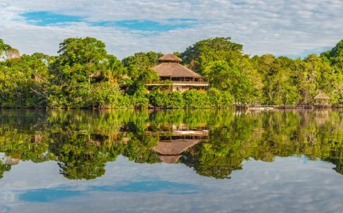 Ayahuasca, muerte y venganza