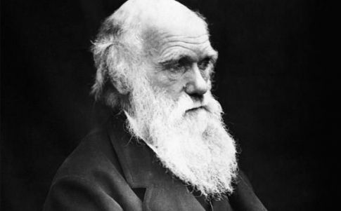 3.      a Darwin