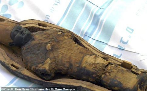 Revelan dos momias egipcias no humanas