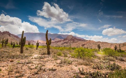 Los mundos perdidos de Juan José Revenga: el desierto andino